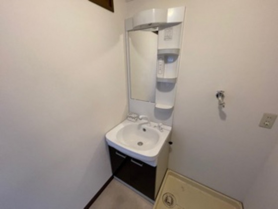 洗面設備　※別号室の写真です。