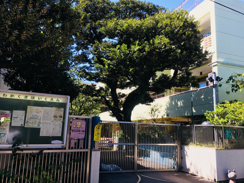 幼稚園・保育園　若草保育園（幼稚園・保育園）まで480m