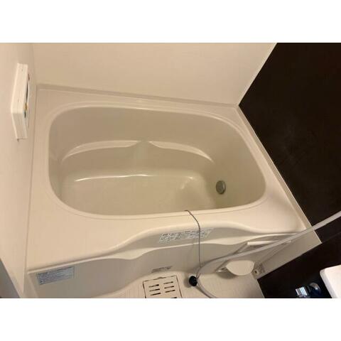 バス・シャワールーム　※同建物別部屋