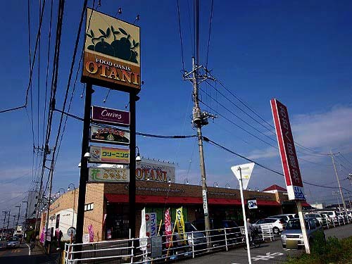 スーパー　フードオアシスＯＴＡＮＩ（オータニ）　平松店（スーパー）まで366m
