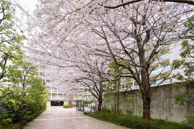 ＪＲ山手線 目黒駅 徒歩7分 8階建 築22年のその他写真