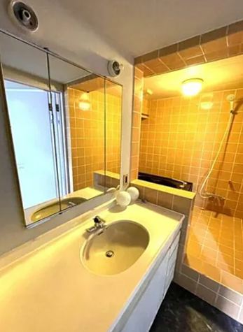 洗面設備　洗面※別部屋参考写真