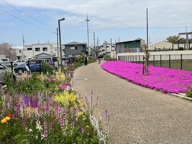 その他　マンションとなりに遊歩道。お散歩コースにいかがですか？