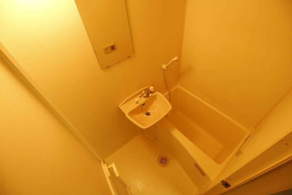 バス・シャワールーム　別の部屋の写真です