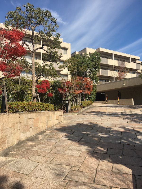 イトーピア御影山手坂 山手西館の建物外観