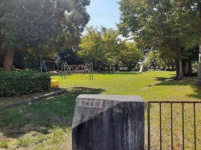 【フランフランサクラＡ棟の公園】