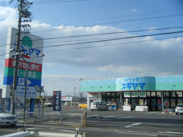 ドラックストア　ドラッグスギヤマ 加木屋店（ドラッグストア）まで731m