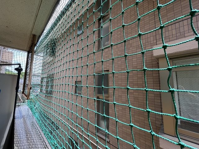 眺望　同マンション別部屋