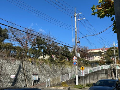 幼稚園・保育園　宝塚市立宝塚幼稚園（幼稚園・保育園）まで505m