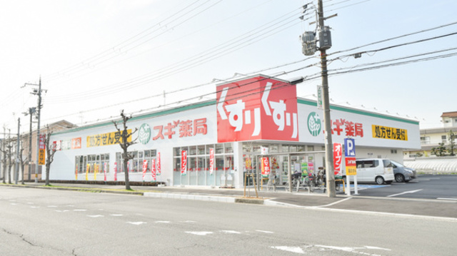 ドラックストア　スギ薬局和泉府中東店（ドラッグストア）まで1213m