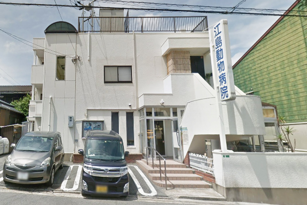 病院　江島動物病院（病院）まで175m