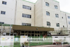 小学校　新宿小学校（小学校）まで265m