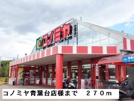 スーパー　コノミヤ青葉台店様（スーパー）まで270m