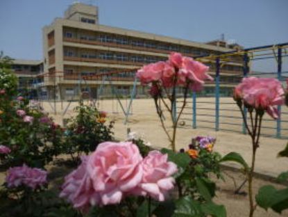 その他　福山市立手城小学校（その他）まで574m