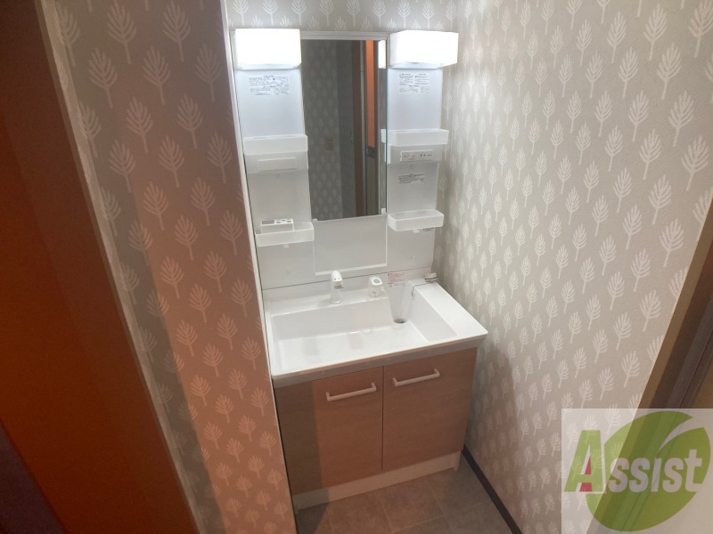 洗面設備　シャンプードレッサー。身支度はここでばっちりですね。