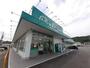 ドラックストア　ザグザグ金川店（ドラッグストア）まで1200m