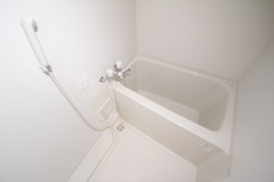 バス・シャワールーム　※別部屋の写真です