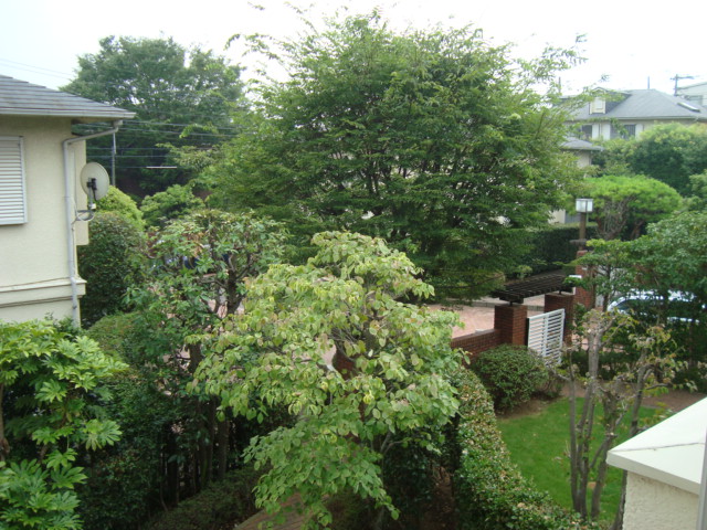 庭　2F窓からの眺望