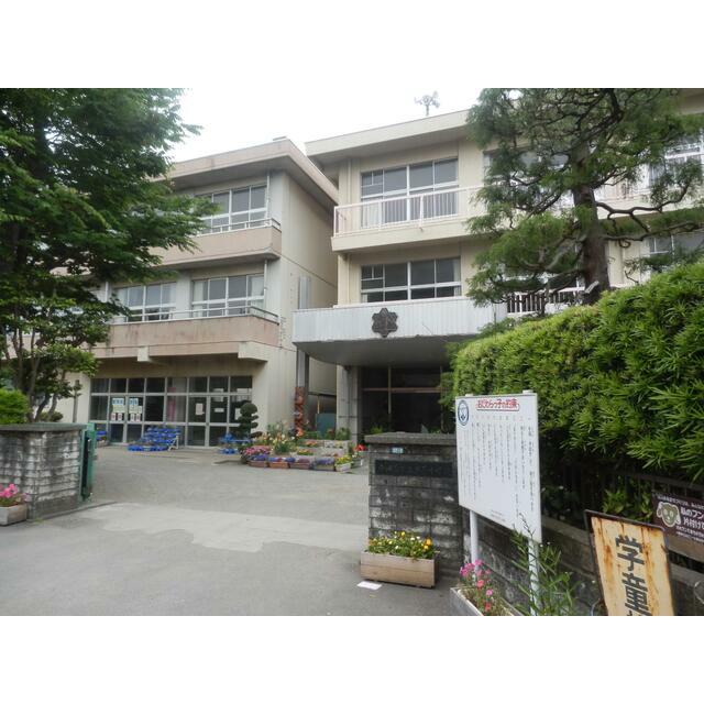 小学校　小田原市立芦子小学校（小学校）まで499m