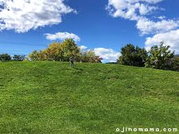 公園　西野グリーン公園（公園）まで1110m