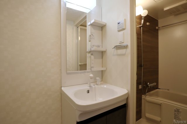 洗面設備　独立洗面化粧台が付いています