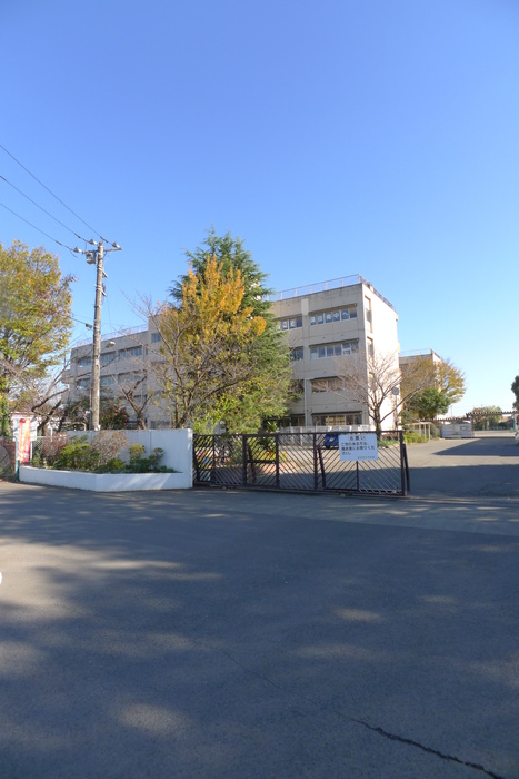 中学校　蓮田南中学校（中学校）まで1300m