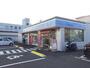 コンビニ　ローソン宮崎 江平中町店（コンビニ）まで250m
