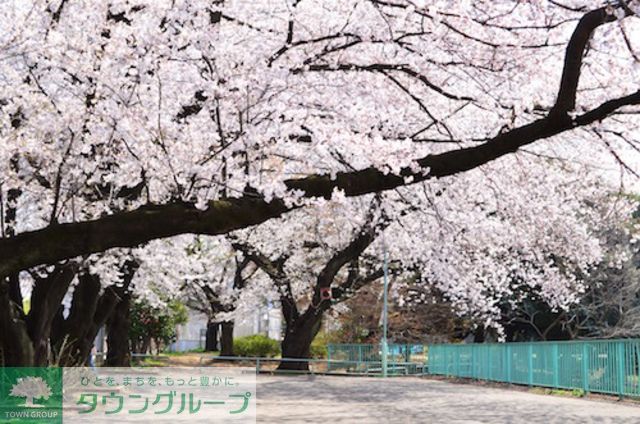 公園　白山公園（公園）まで1340m