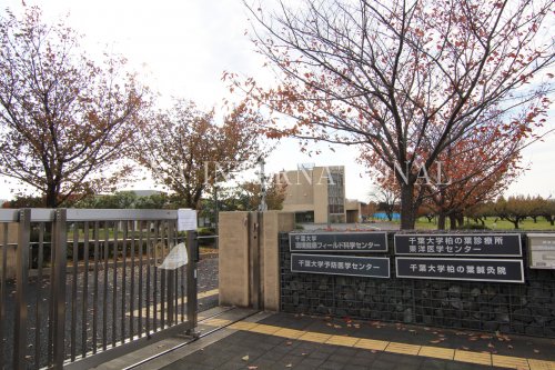 大学・短大　千葉大学 柏の葉キャンパス（大学・短大）まで2353m