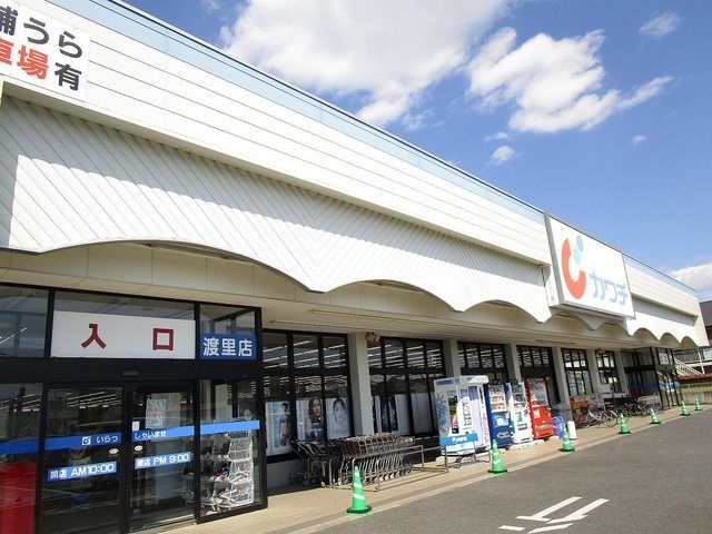 ドラックストア　カワチ薬品　渡里店（ドラッグストア）まで1200m