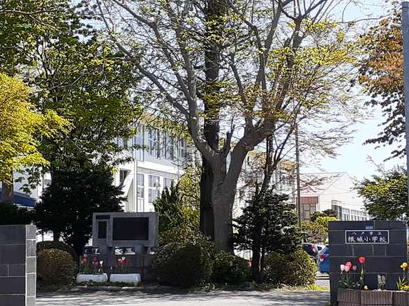 小学校　八戸市立根城小学校（小学校）まで1018m