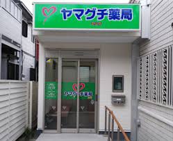 ドラックストア　ヤマグチ薬局丸山店（ドラッグストア）まで744m