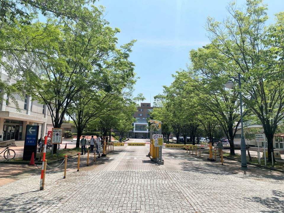 大学・短大　鹿児島大学教育学部（大学・短大）まで342m