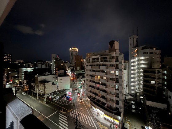 眺望　※別部屋の写真です