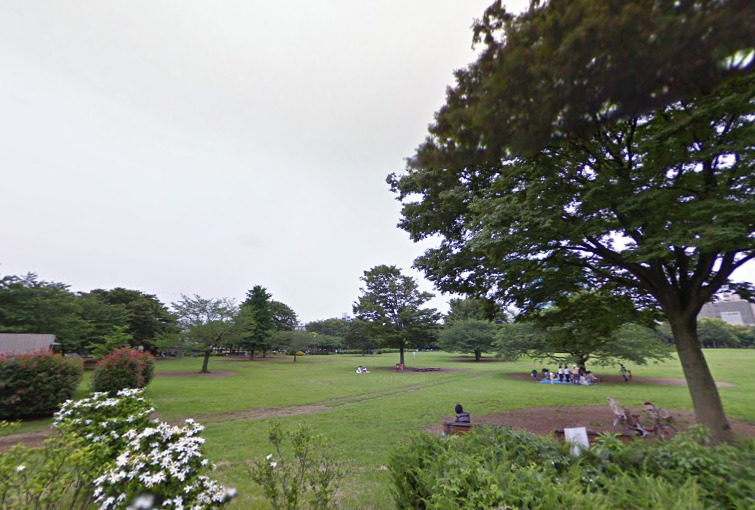 公園　木場公園（公園）まで1125m