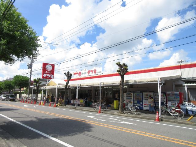 スーパー　スーパータツミ（スーパー）まで840m