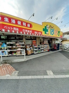 ドラックストア　どらっぐぱぱす板橋徳丸店（ドラッグストア）まで364m