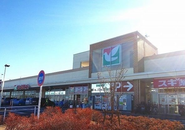 その他　ヨークマートまで1300m