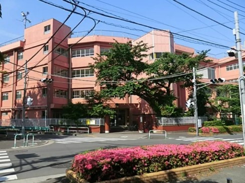 小学校　北区立紅葉小学校（小学校）まで591m
