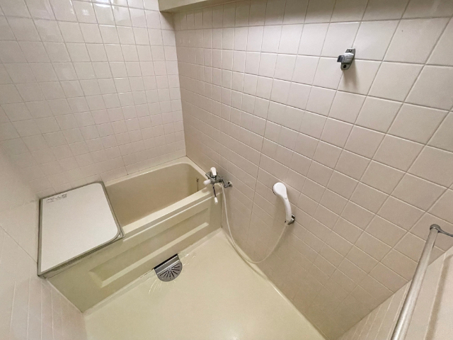 バス・シャワールーム　洗い場が広めです。