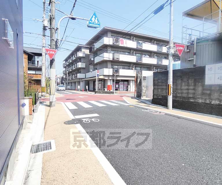 その他　目の前の道路です。
