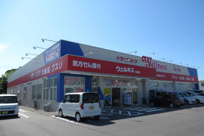 ドラックストア　ウエルネス　大庭店（ドラッグストア）まで800m