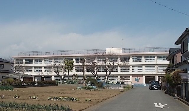 小学校　城島小学校（小学校）まで240m