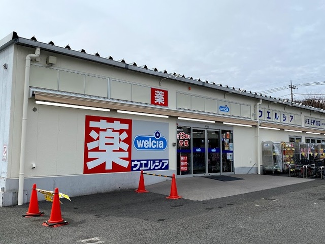 ドラックストア　ウエルシア薬局八王子椚田店（ドラッグストア）まで1095m