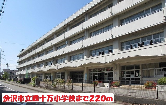 小学校　金沢市立四十万小学校（小学校）まで220m