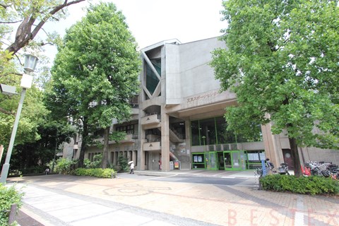 公園　教育の森公園（公園）まで539m