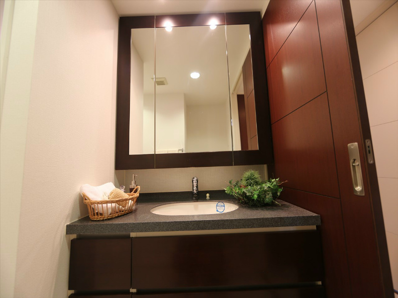 洗面設備　脱衣所　独立洗面台（シャンプードレッサー）