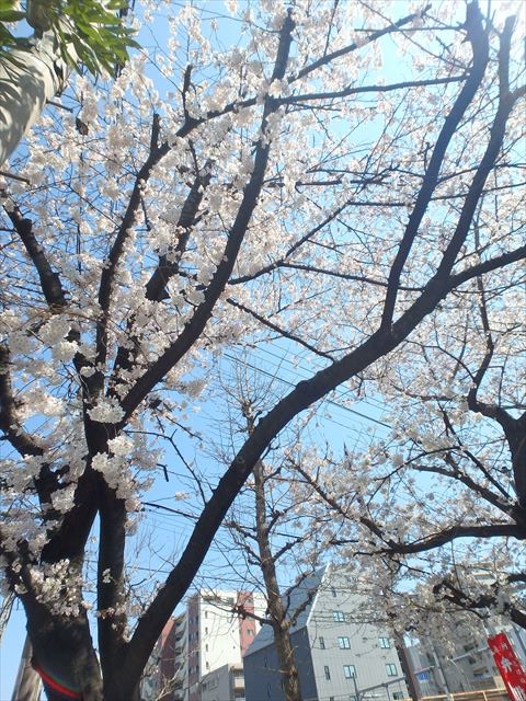 公園　浦和仲町1丁目ひろば（公園）まで524m