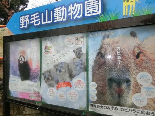 その他　野毛山動物園（その他）まで2747m