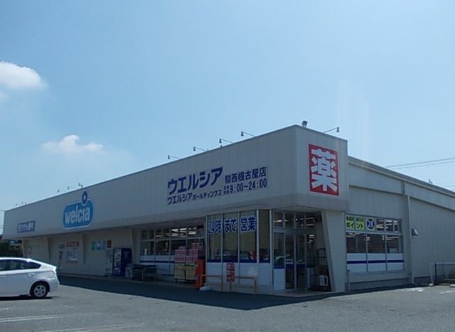 ドラックストア　ウエルシア騎西根小屋店（ドラッグストア）まで1000m